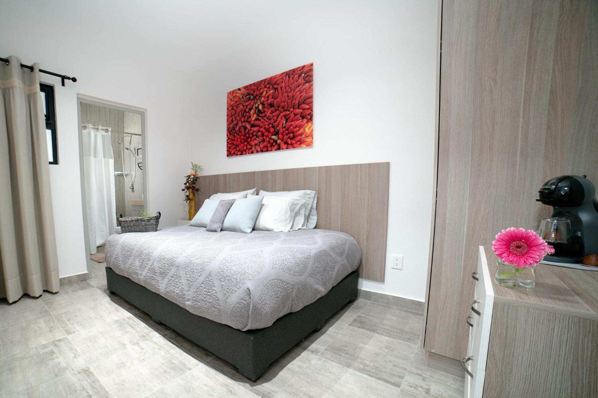 Casa Carmelia La Condesa Διαμέρισμα Μεξικό Εξωτερικό φωτογραφία